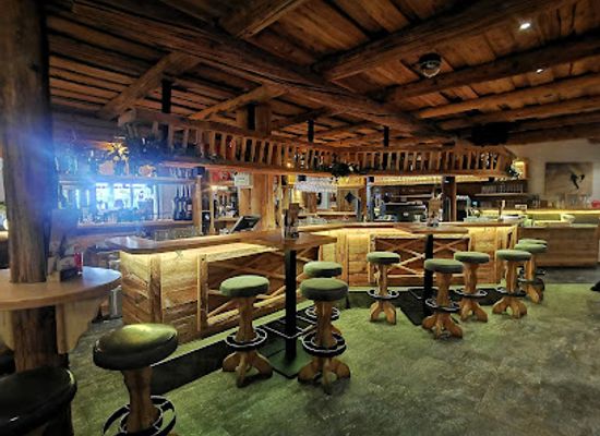 austria/kaprun/bar/baumbar