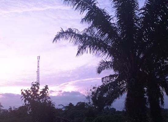 cote-d-ivoire/lagunes/bar/maquis-evasion
