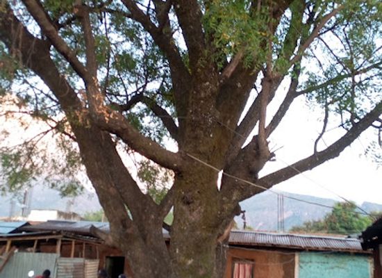 uganda/karamoja/bar/capital-pub