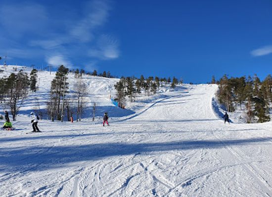finland/pyha-luosto-national-park/bar/pyhatunturi