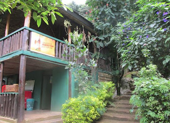 uganda/bwindi-impenetrable-national-park/bar/bwindi-view-lodge