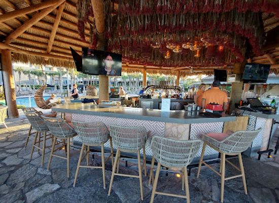 florida/amelia-island/bar/coquina