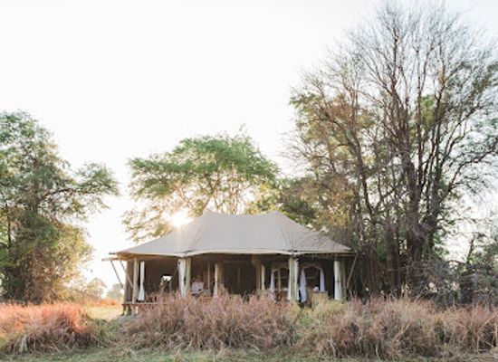 zambia/kafue-national-park/bar/musekese-camp