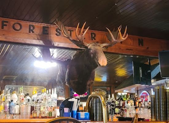 michigan/the-thumb/bar/forester-inn