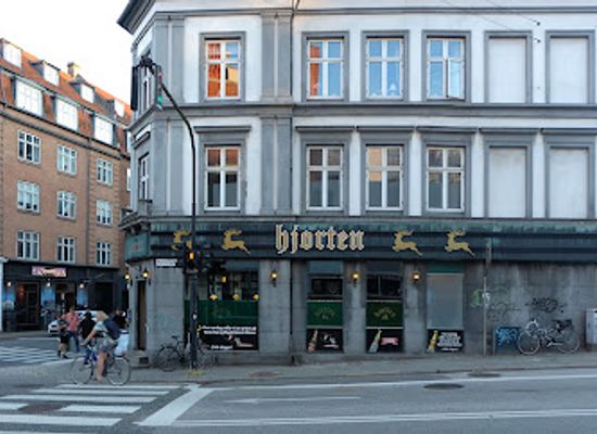 denmark/aarhus/vesterbro/bar/hjorten