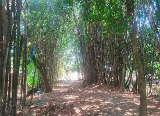 bangladesh/bhawal-region/bar/the-bashmooraaa