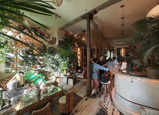 spain/madrid-community/bar/ficus-bar