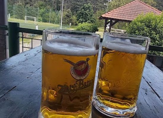 hungary/pilis-mountains/bar/villa-negra