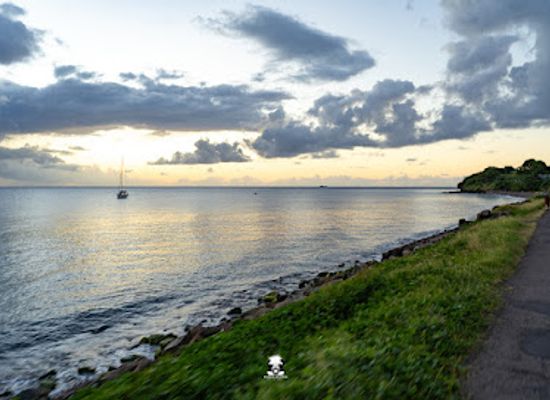 saint-kitts-and-nevis/sandy-point-town/bar/link-up-bar