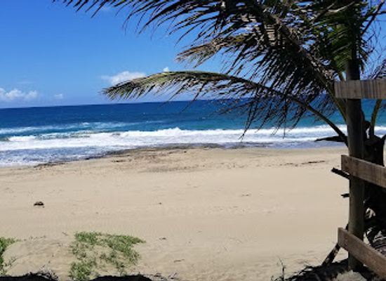 puerto-rico/arecibo-region/bar/el-clandestino