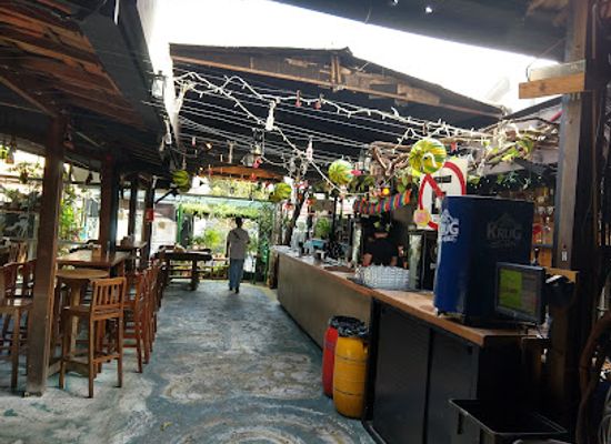 brazil/serra-do-roncador/bar/jangal