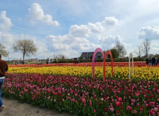 netherlands/keukenhof-gardens/bar/the-tulip-barn
