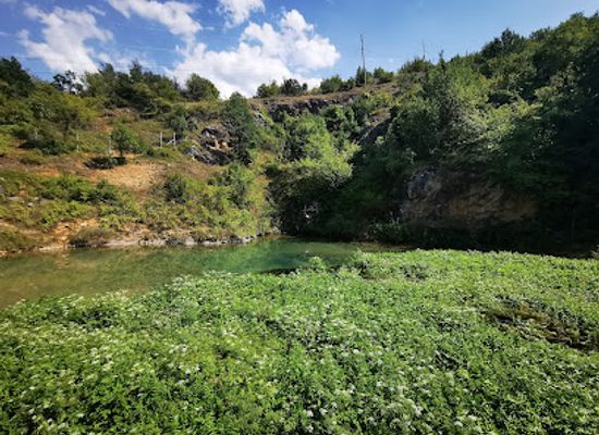 kosovo/sharri-mountains/bar/burimi-gurres