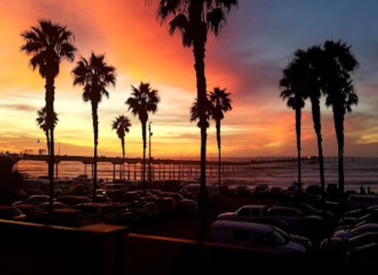 california/san-diego-beaches/bar/south-beach-bar-grille