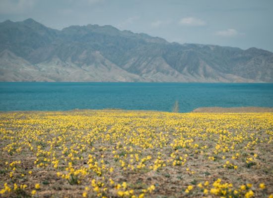 kazakhstan/bartogay-lake/bar/bartogay