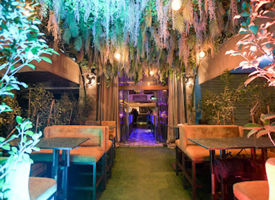 morocco/marrakech/gueliz/bar/le-perroquet