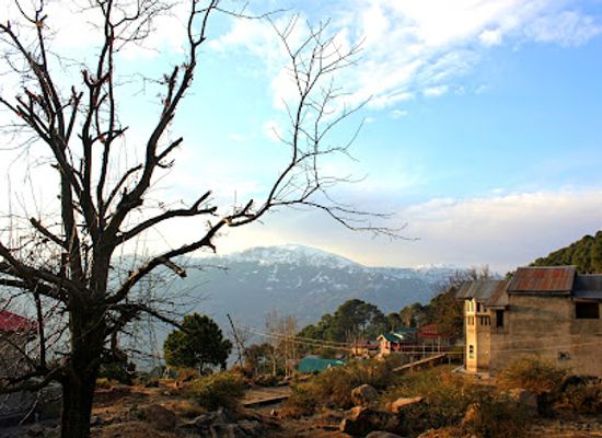india/kashmir-valley/bar/kailash-bar-restaurant