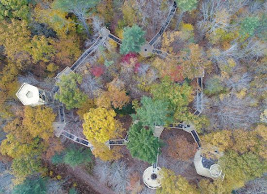 vermont/quechee-gorge/bar/vins-nature-center