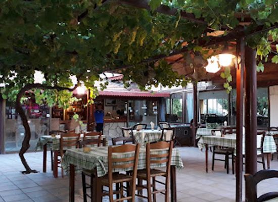 cyprus/pissouri/bar/the-vineleaf-tavern
