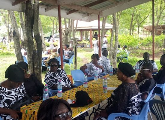 ghana/lake-volta/bar/raffin-royal-lodge