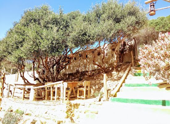 tunisia/el-haouaria/bar/the-falcon-lounge
