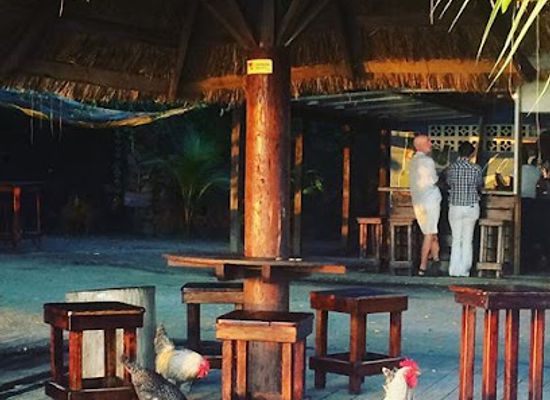 saint-vincent-and-the-grenadines/saint-david/bar/flowt-beach-bar