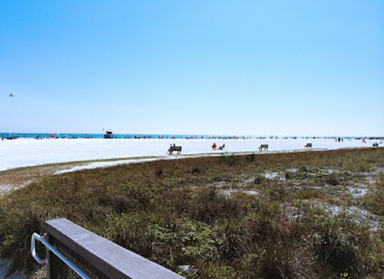 florida/sarasota-beaches/bar/the-beach-club