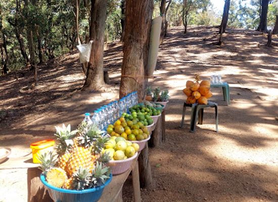 sri-lanka/uva-province/bar/shashika-viewpoint-juice-bar