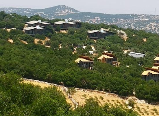 jordan/ajloun-forest-reserve/bar/oak-restaurant