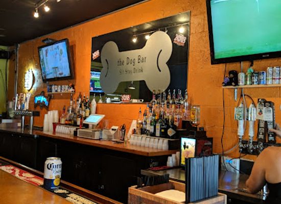 north-carolina/charlotte/noda-north-davidson/bar/dog-bar-charlotte