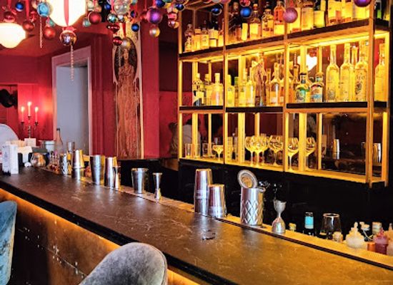 india/vindhya-range/bar/slink-bardot