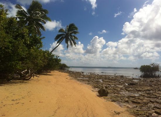 tonga/tongatapu-coastline/bar/big-mama-s-bar