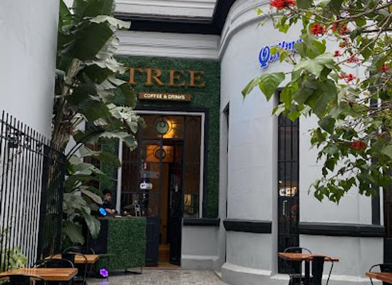 argentina/northwest-argentina/bar/tree-bar