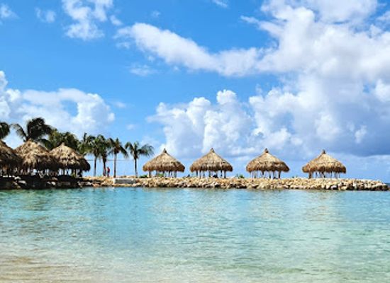 curacao/groot-santa-martha/bar/brass-boer-curacao