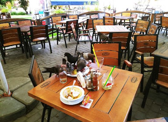 ukraine/sian-river/bar/piwiarnia-warecka