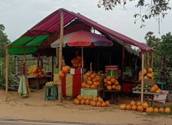 sri-lanka/arugam-bay/bar/king-coconut-fresh-juice-bar