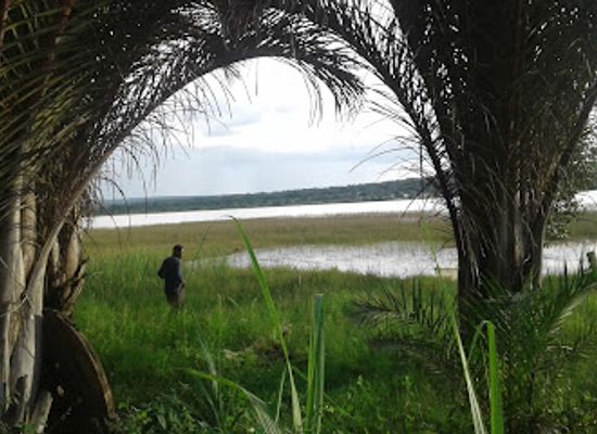zambia/kalambo-falls/bar/the-kalambo-breezers