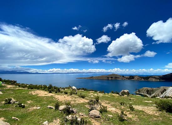 bolivia/lake-titicaca-basin/bar/las-velas