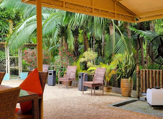 mauritius/seven-coloured-earths/bar/mich-resto