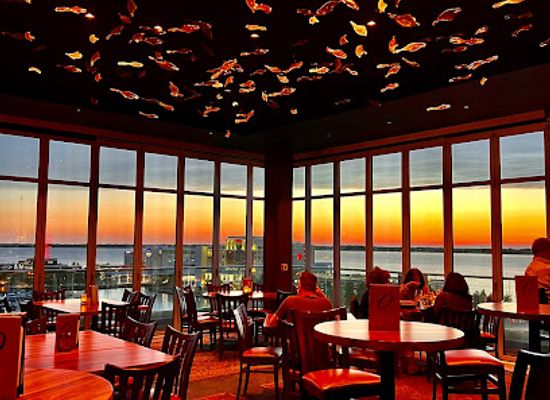 pennsylvania/presque-isle-state-park/bar/oliver-s-rooftop