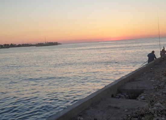 lebanon/jounieh/bar/sous-sur-mer