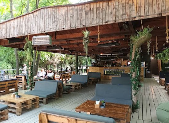 romania/bucharest/herastrau/bar/biblioteca-herastrau