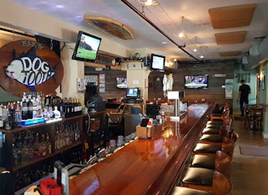 new-jersey/wildwood/bar/dogtooth-bar-grill