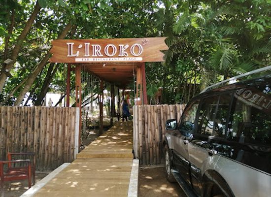 gabon/ivindo-basin/bar/l-iroko