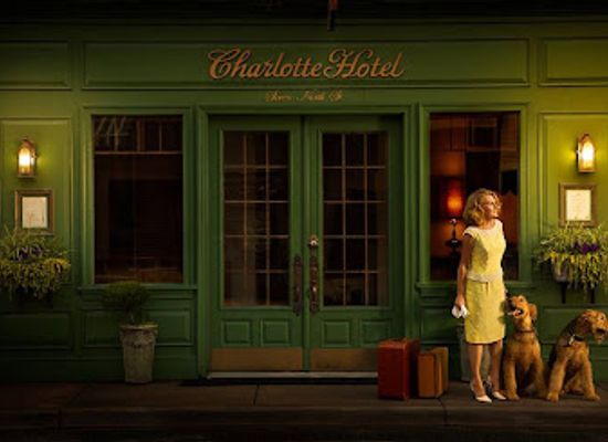 virginia/eastern-shore/bar/the-charlotte-hotel-and-terra-mare-restaurant