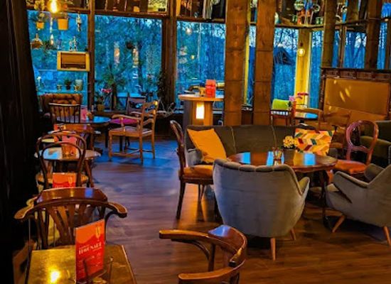 germany/bavarian-forest-national-park/bar/glashaus-bar