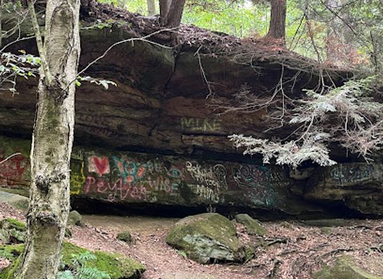 ohio/dundee-falls/bar/dundee-falls-trail-head-a
