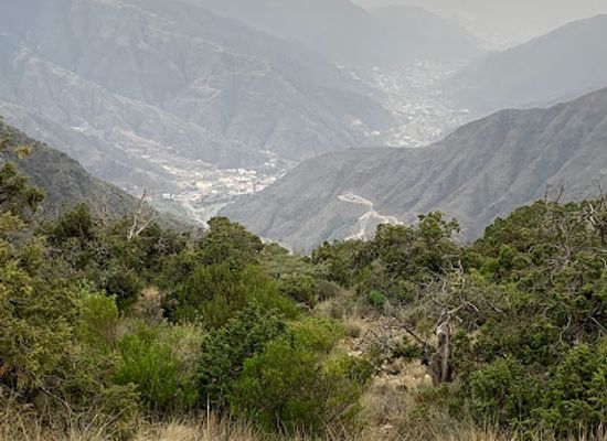 saudi-arabia/asir-mountains/bar/asir-mountains