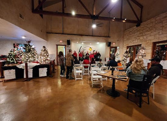 texas/new-braunfels/bar/the-villa-cool-tunes-cold-drinks-good-company