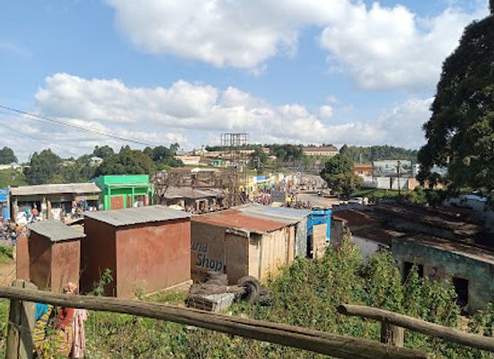 burundi/kibira-national-park/bar/bugarama-bar